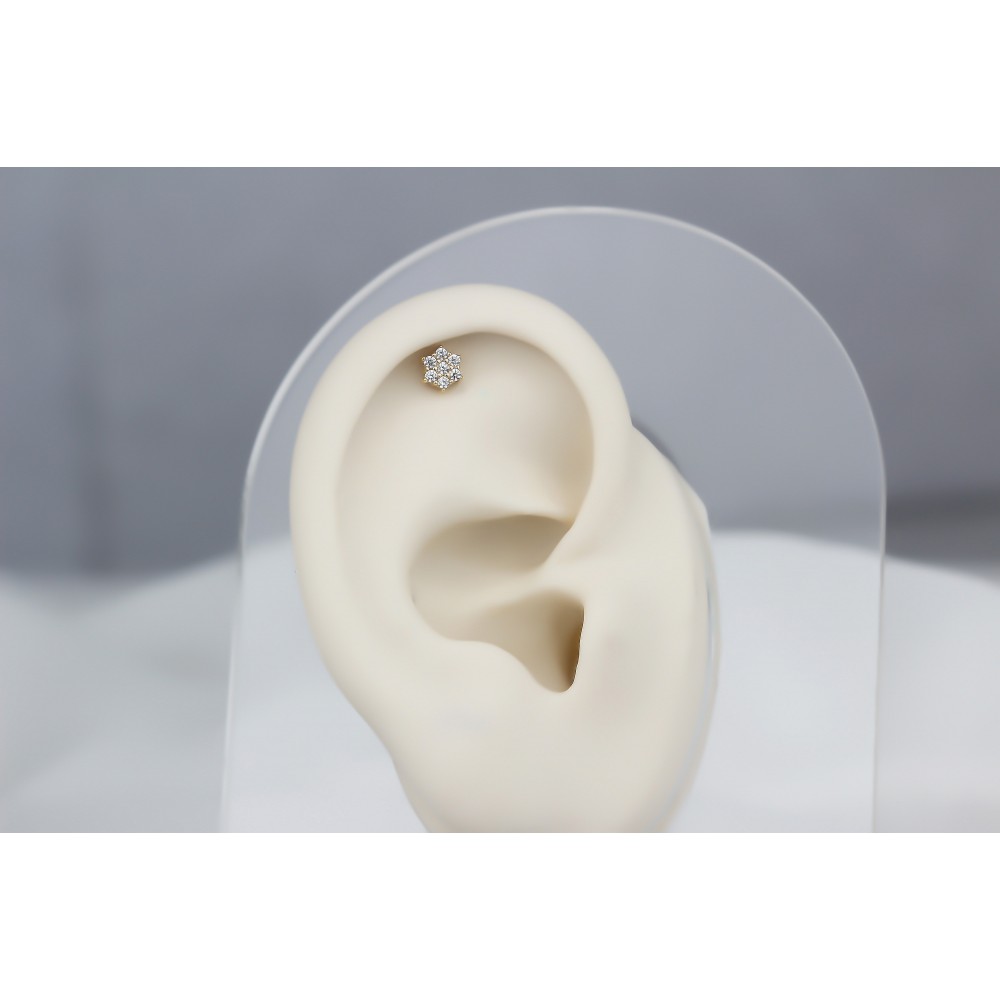 Glorria 14k Solid Gold Star Helix Piercing