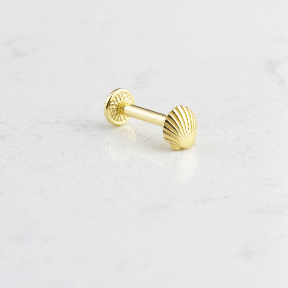 Glorria 14k Solid Gold Shell Tragus Piercing