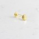 Glorria 14k Solid Gold Shell Tragus Piercing