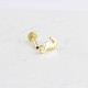 Glorria 14k Solid Gold Seahorse Tragus Piercing