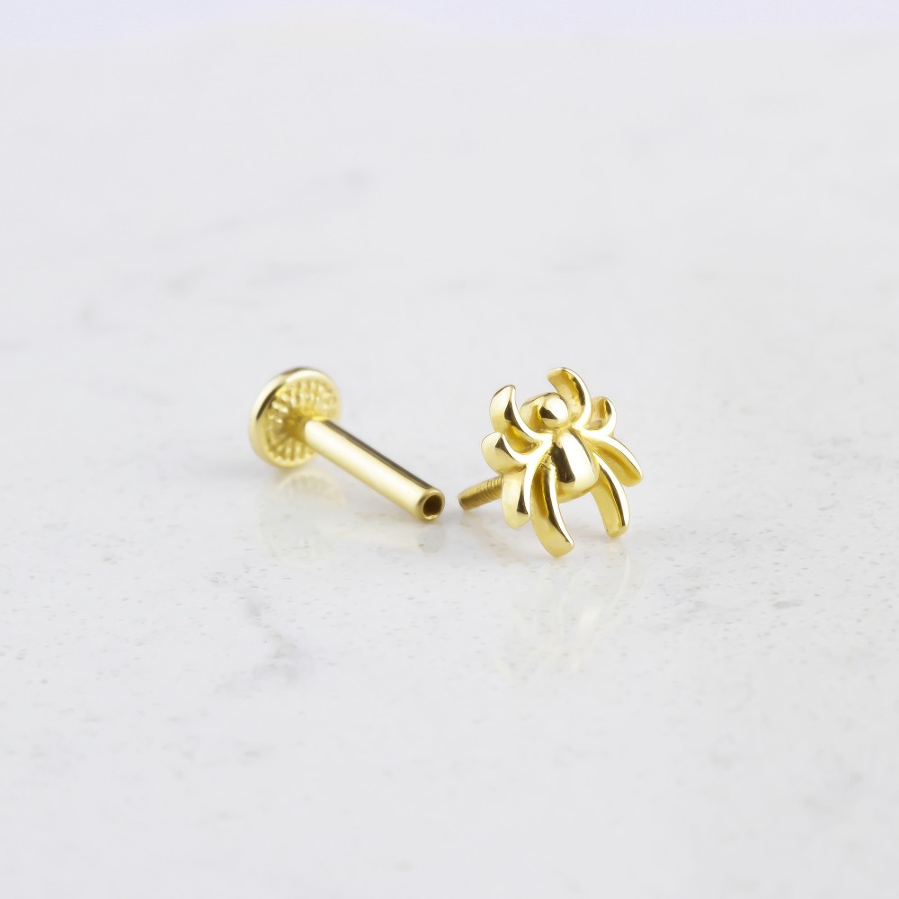 Glorria 14k Solid Gold Spider Tragus Piercing