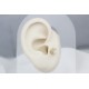 Glorria 14k Solid Gold Crescent Tragus Piercing