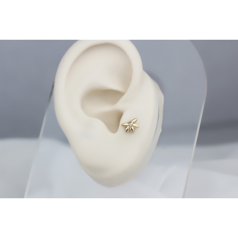 Glorria 14k Solid Gold Clover Tragus Piercing