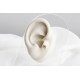 Glorria 14k Solid Gold Scorpio Tragus Piercing